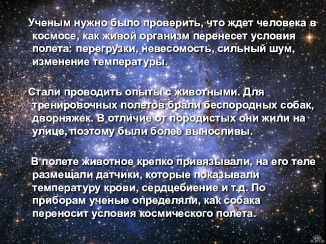 Ученым нужно было проверить, что ждет человека в космосе, как живой организм