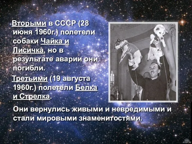 Вторыми в СССР (28 июня 1960г.) полетели собаки Чайка и Лисичка, но