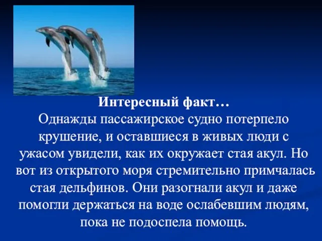 Интересный факт… Однажды пассажирское судно потерпело крушение, и оставшиеся в живых люди