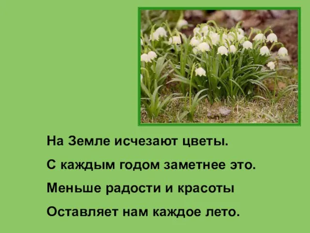 На Земле исчезают цветы. С каждым годом заметнее это. Меньше радости и