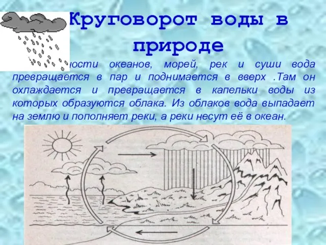 Круговорот воды в природе С поверхности океанов, морей, рек и суши вода