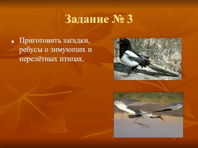 Задание № 3 Приготовить загадки, ребусы о зимующих и перелётных птицах.