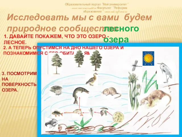 Образовательный портал "Мой университет" - www.moi-universitet.ru Факультет " Реформа образования " -www.edu-reforma.ru