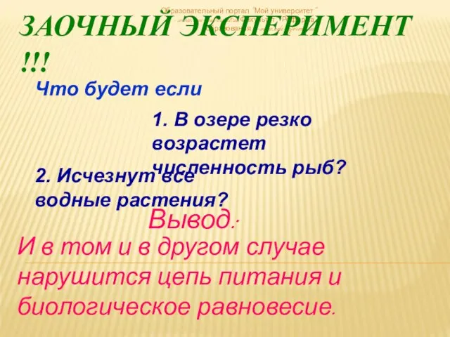 Образовательный портал "Мой университет" - www.moi-universitet.ru Факультет " Реформа образования " -www.edu-reforma.ru