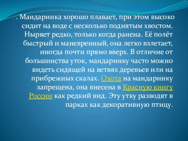 в . Мандаринка хорошо плавает, при этом высоко сидит на воде с