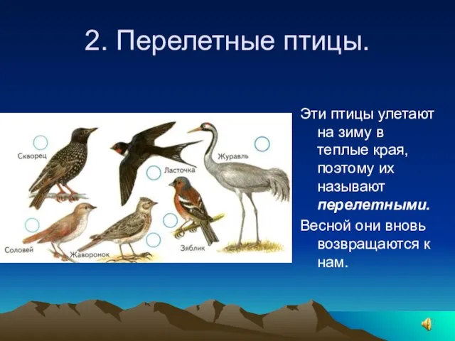 2. Перелетные птицы. Эти птицы улетают на зиму в теплые края, поэтому