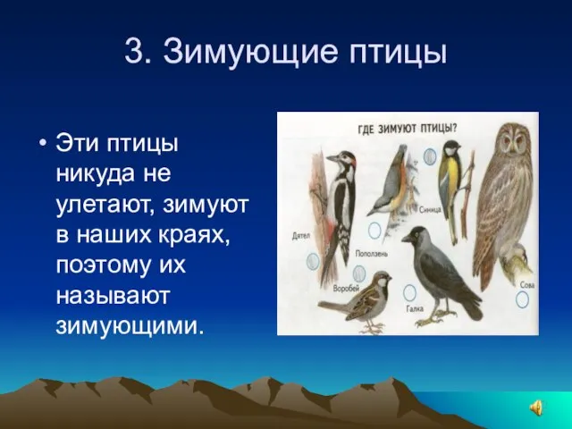 3. Зимующие птицы Эти птицы никуда не улетают, зимуют в наших краях, поэтому их называют зимующими.