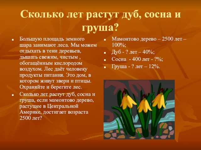 Сколько лет растут дуб, сосна и груша? Большую площадь земного шара занимают