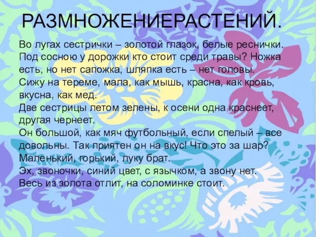 РАЗМНОЖЕНИЕРАСТЕНИЙ. Во лугах сестрички – золотой глазок, белые реснички. Под сосною у