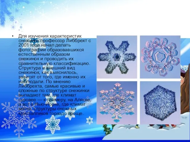 Для изучения характеристик снежинок профессор Либбрехт с 2001 года начал делать фотографии
