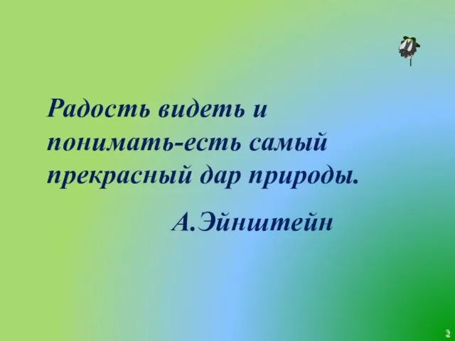 Радость видеть и понимать-есть самый прекрасный дар природы. А.Эйнштейн