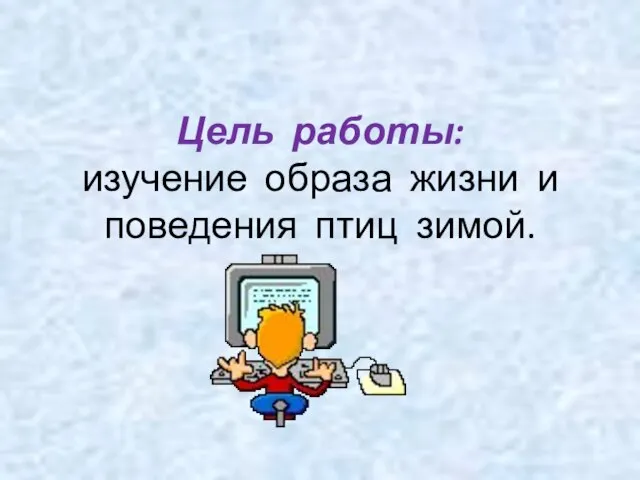 Цель работы: изучение образа жизни и поведения птиц зимой.