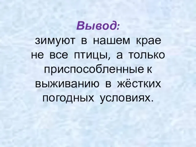 Вывод: зимуют в нашем крае не все птицы, а только приспособленные к