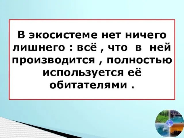 В экосистеме нет ничего лишнего : всё , что в ней производится