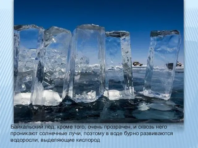 Байкальский лёд, кроме того, очень прозрачен, и сквозь него проникают солнечные лучи,
