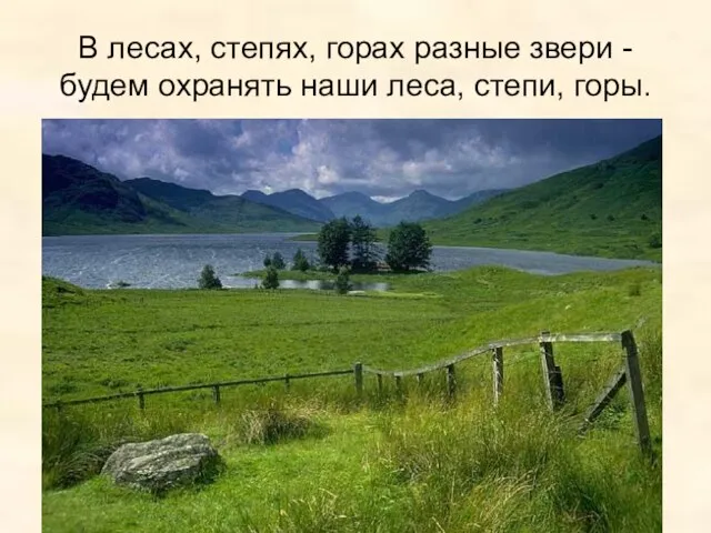 В лесах, степях, горах разные звери - будем охранять наши леса, степи, горы.