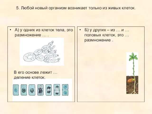 5. Любой новый организм возникает только из живых клеток. А) у одних