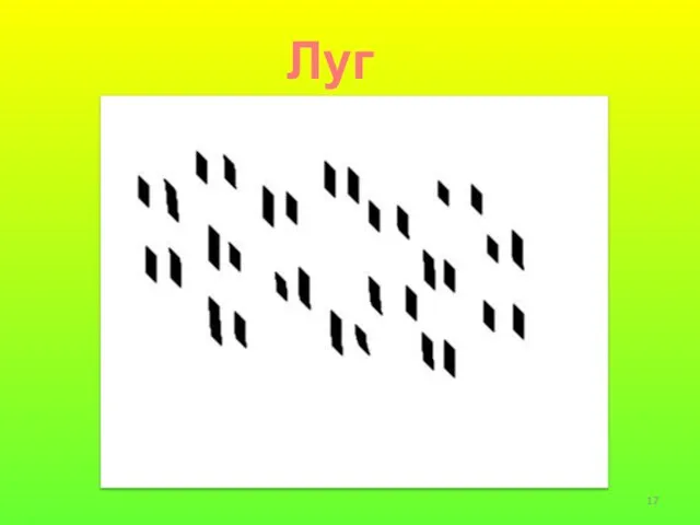 Луг