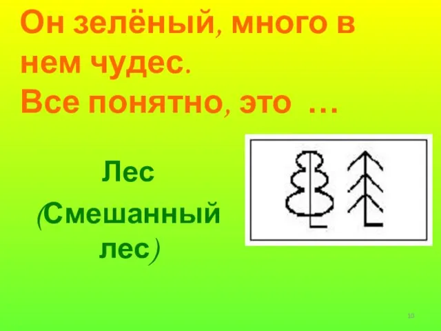 Он зелёный, много в нем чудес. Все понятно, это … Лес (Смешанный лес)