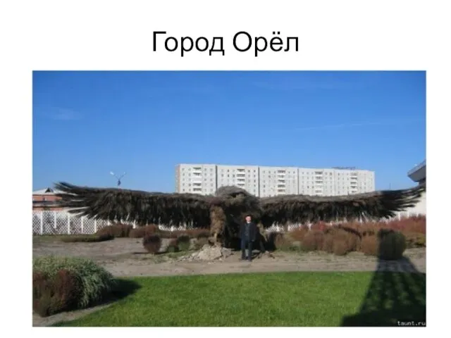 Город Орёл