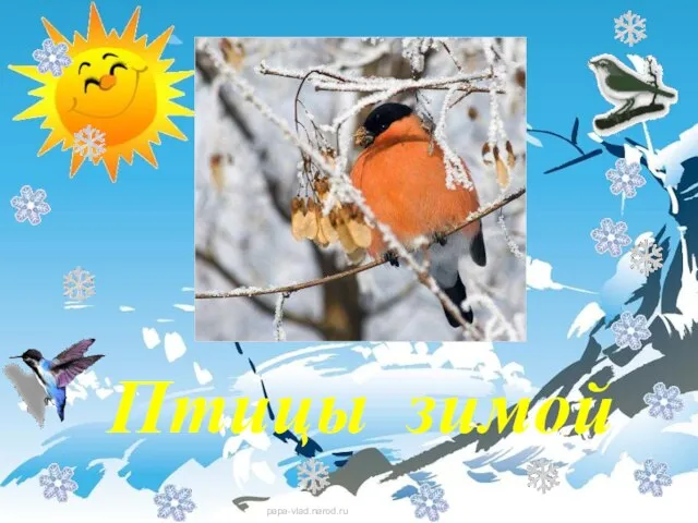 Птицы зимой Птицы зимой papa-vlad.narod.ru
