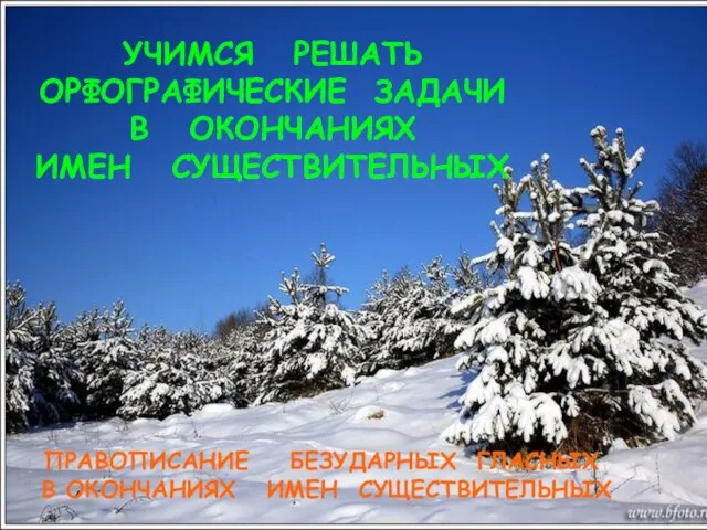 УЧИМСЯ РЕШАТЬ ОРФОГРАФИЧЕСКИЕ ЗАДАЧИ В ОКОНЧАНИЯХ ИМЕН СУЩЕСТВИТЕЛЬНЫХ ПРАВОПИСАНИЕ БЕЗУДАРНЫХ ГЛАСНЫХ В ОКОНЧАНИЯХ ИМЕН СУЩЕСТВИТЕЛЬНЫХ