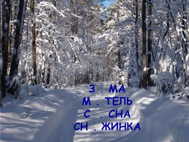 З . МА М . ТЕЛЬ С . СНА СН . ЖИНКА