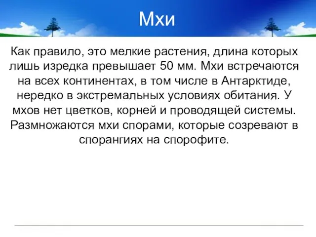 Мхи Как правило, это мелкие растения, длина которых лишь изредка превышает 50