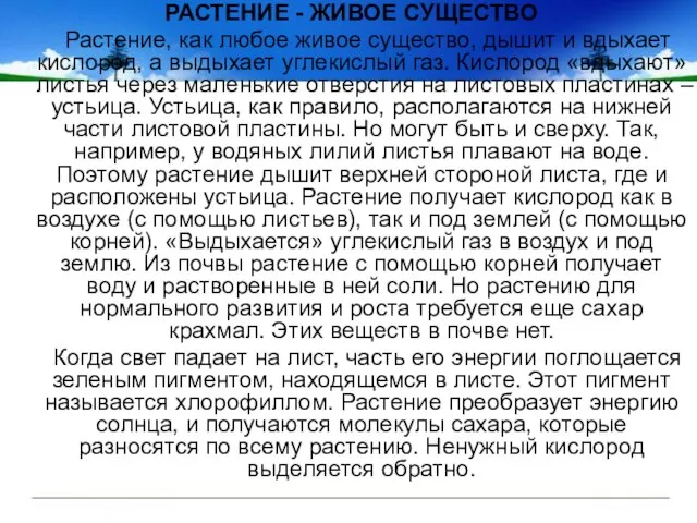 РАСТЕНИЕ - ЖИВОЕ СУЩЕСТВО Растение, как любое живое существо, дышит и вдыхает