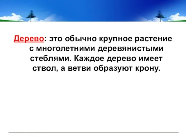 Дерево: это обычно крупное растение с многолетними деревянистыми стеблями. Каждое дерево имеет