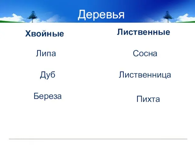 Деревья Хвойные Лиственные Липа Дуб Береза Лиственница Сосна Пихта