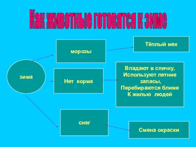 Как животные готовятся к зиме зима морозы Нет корма снег Тёплый мех