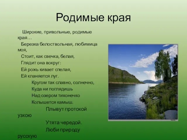 Родимые края Широкие, привольные, родимые края… Березка белоствольная, любимица моя, Стоит, как