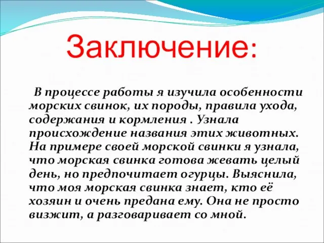 Заключение: В процессе работы я изучила особенности морских свинок, их породы, правила