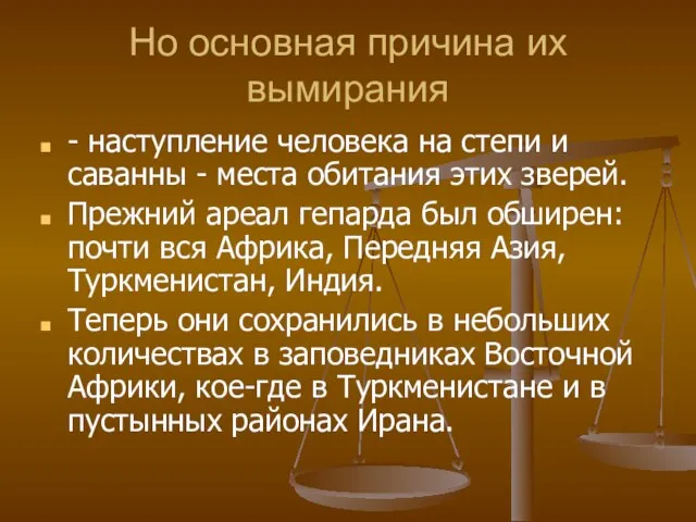 Но основная причина их вымирания - наступление человека на степи и саванны