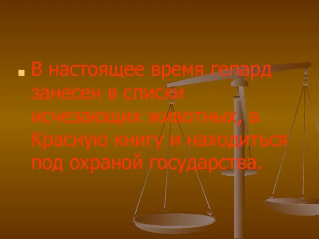 В настоящее время гепард занесен в списки исчезающих животных, в Красную книгу