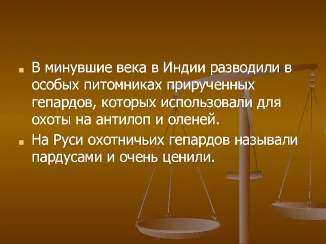 В минувшие века в Индии разводили в особых питомниках прирученных гепардов, которых