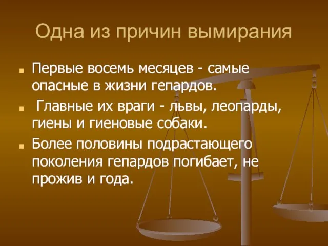 Одна из причин вымирания Первые восемь месяцев - самые опасные в жизни