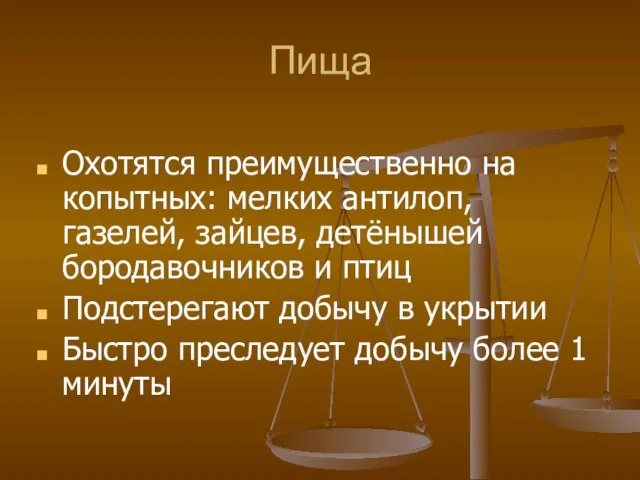 Пища Охотятся преимущественно на копытных: мелких антилоп, газелей, зайцев, детёнышей бородавочников и