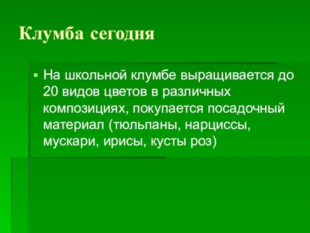 Клумба сегодня На школьной клумбе выращивается до 20 видов цветов в различных