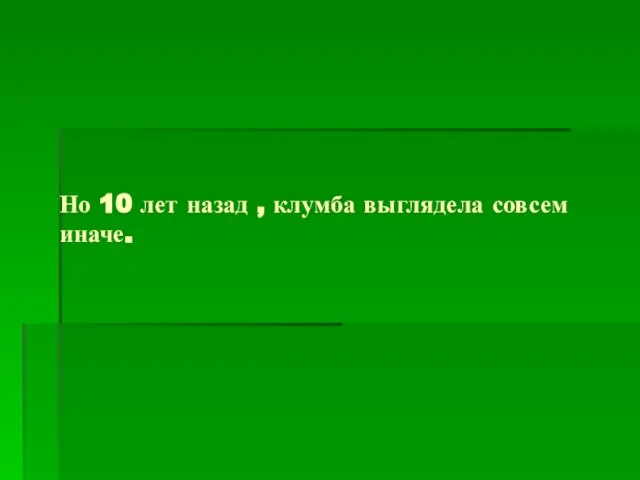 Но 10 лет назад , клумба выглядела совсем иначе.