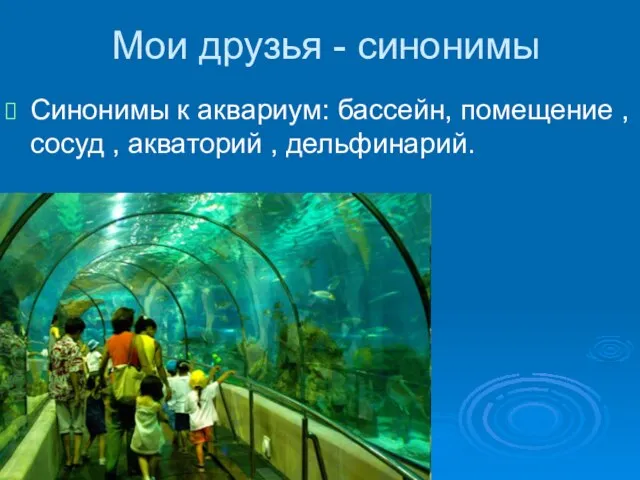 Мои друзья - синонимы Синонимы к аквариум: бассейн, помещение , сосуд , акваторий , дельфинарий.