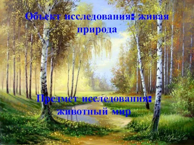 Объект исследования: живая природа Предмет исследования: животный мир