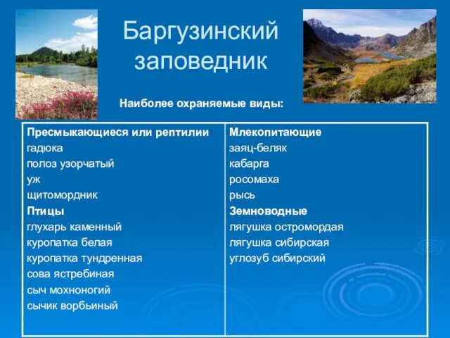 Баргузинский заповедник Наиболее охраняемые виды: