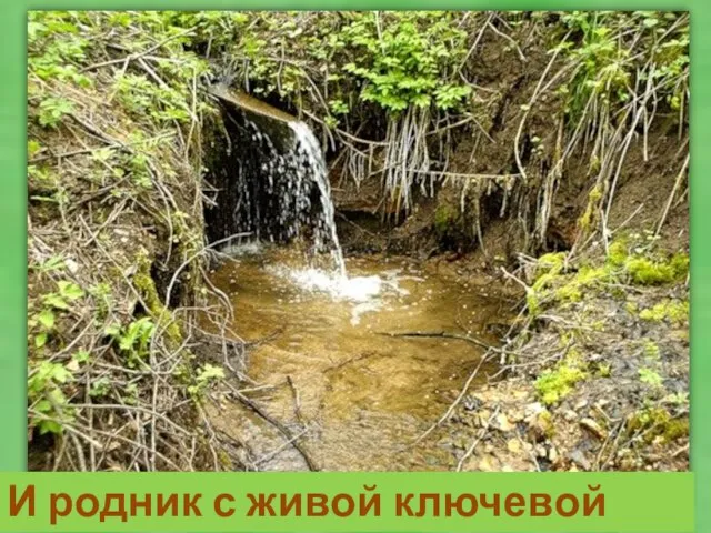 И родник с живой ключевой водой.