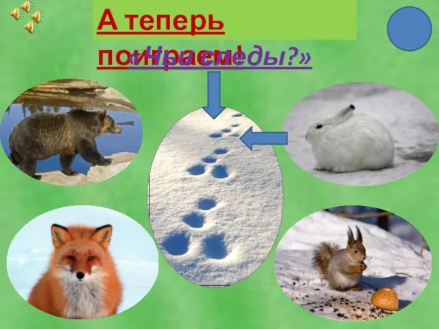 А теперь поиграем! «Чьи следы?»