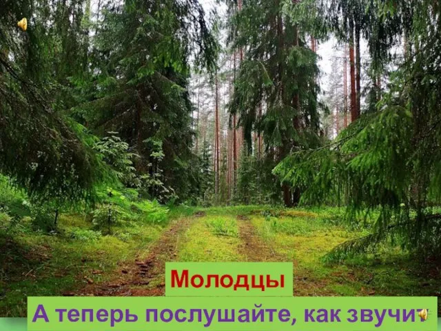 Молодцы! А теперь послушайте, как звучит лес!