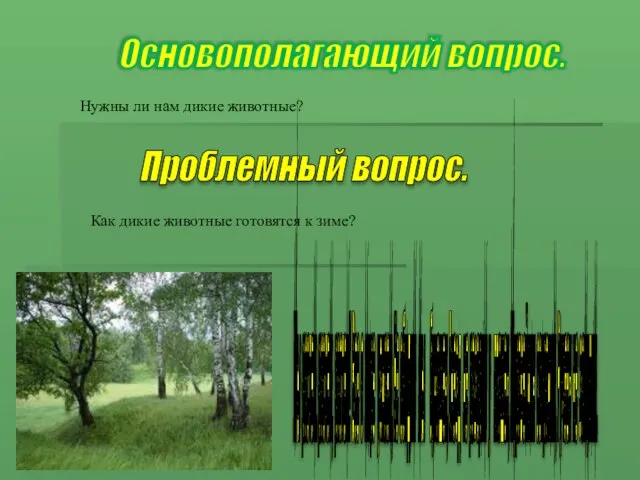 Основополагающий вопрос. Нужны ли нам дикие животные? Проблемный вопрос. Как дикие животные