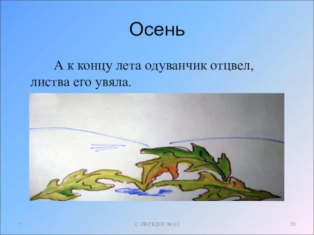 Осень А к концу лета одуванчик отцвел, листва его увяла. * С -Пб ГБДОУ №112