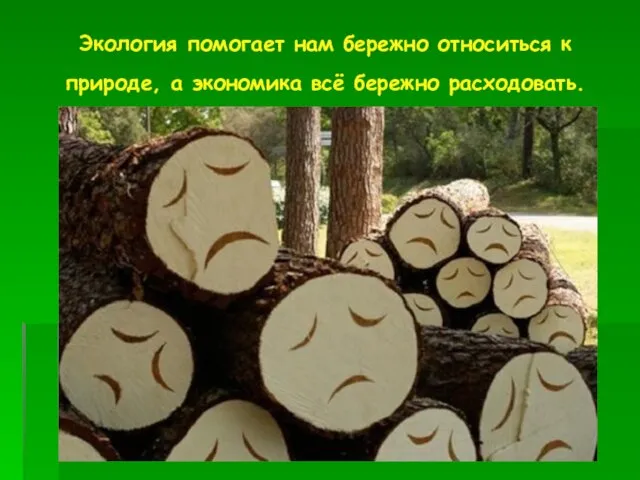 Экология помогает нам бережно относиться к природе, а экономика всё бережно расходовать.